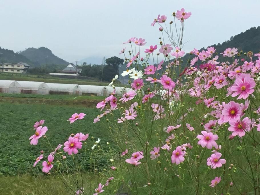 古民家 羅美 Japanese Old Style House La Vie Hotel Ajabe Kültér fotó